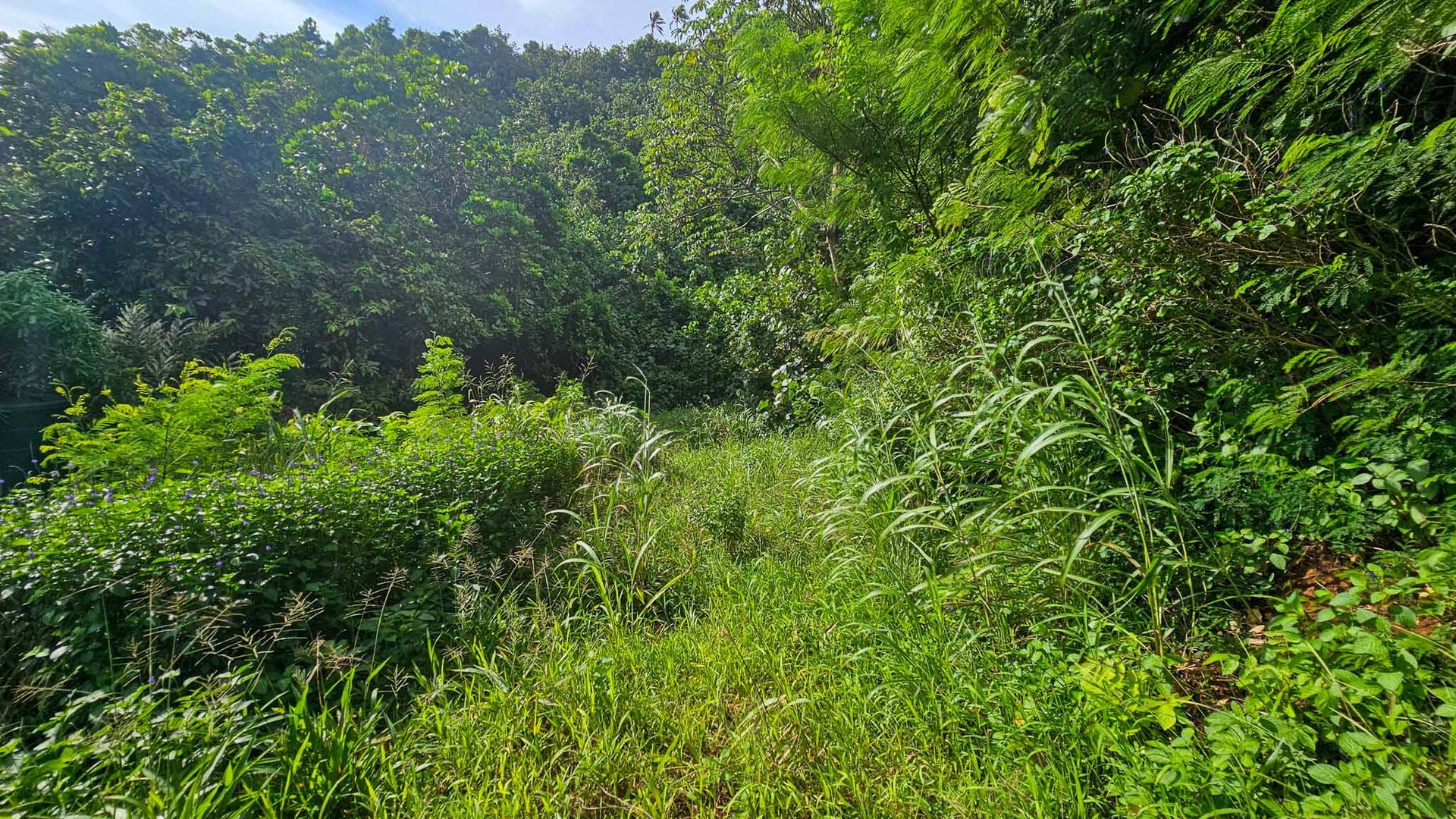 2,109 sqm Elevated Section, Matavera