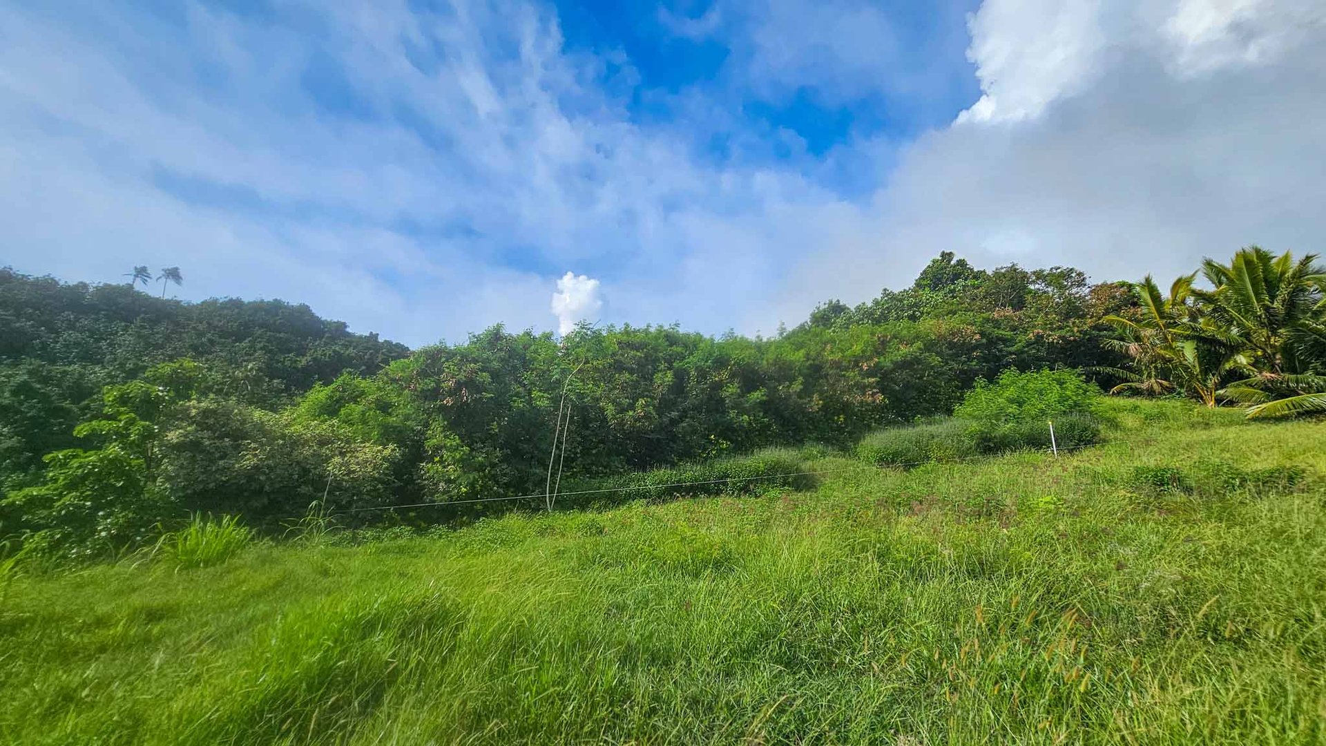 2,109 sqm Elevated Section, Matavera