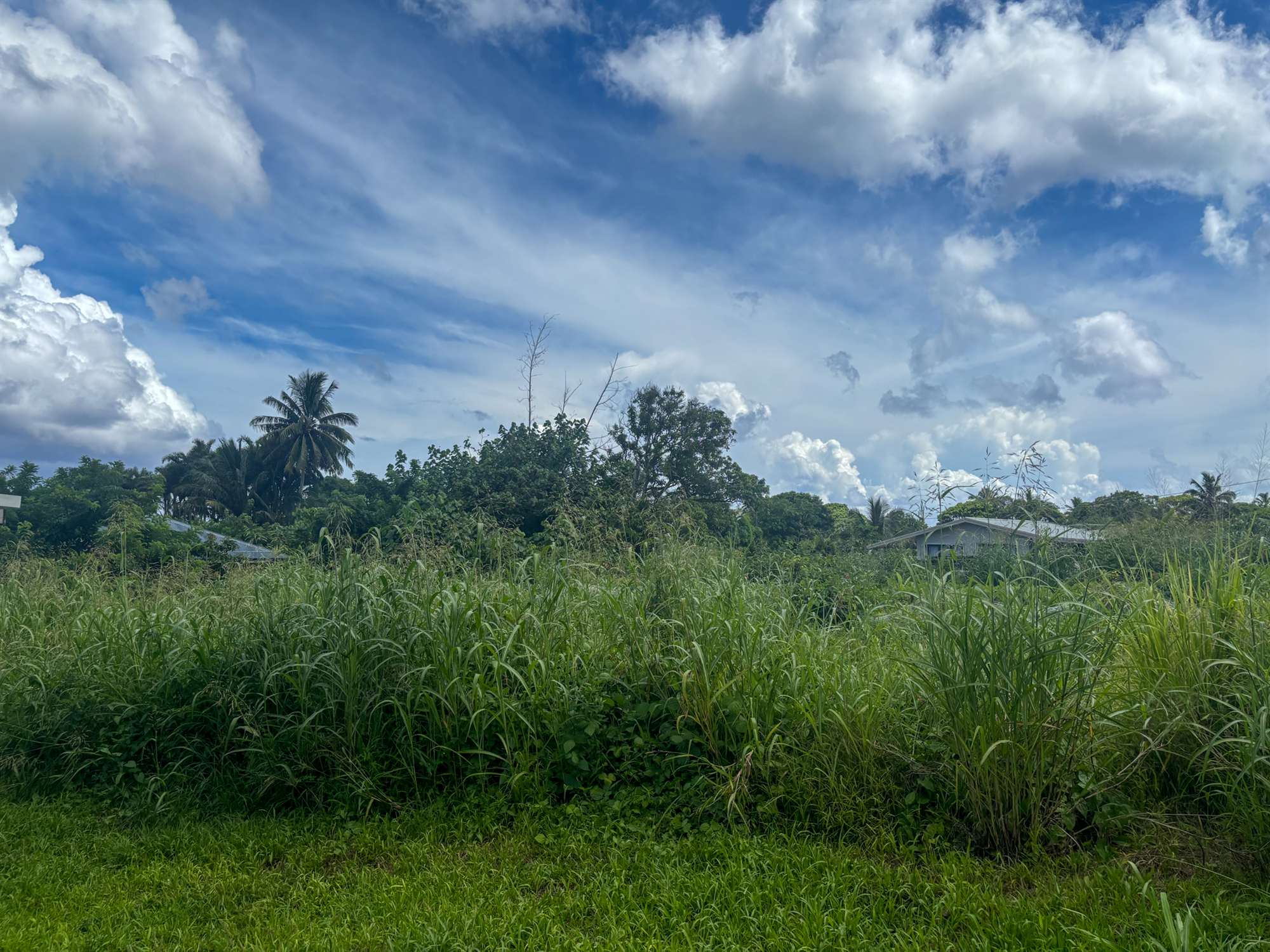 Two Prime Vacant Sections — Tikioki